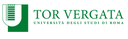 Deadline of 14:00 CET 24th July for Ph.D Candidatures - Univ. Tor Vergata with ENEA - Position on Inertial Confinement Fusion and laser-matter interaction
