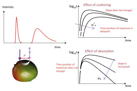 scheme of the method